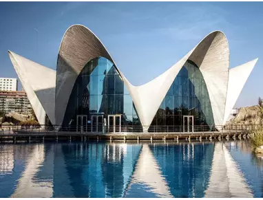 Ciudad de las Artes y las Ciencias Valencia (5).webp